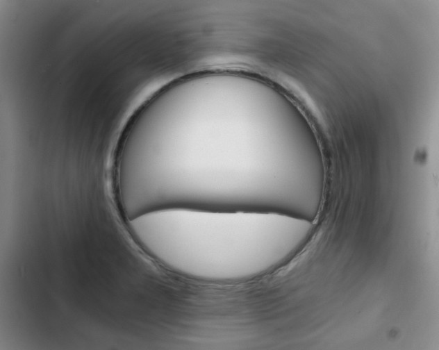 X0000102821277200808181016