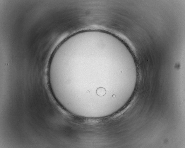 X0000102821278200808181016