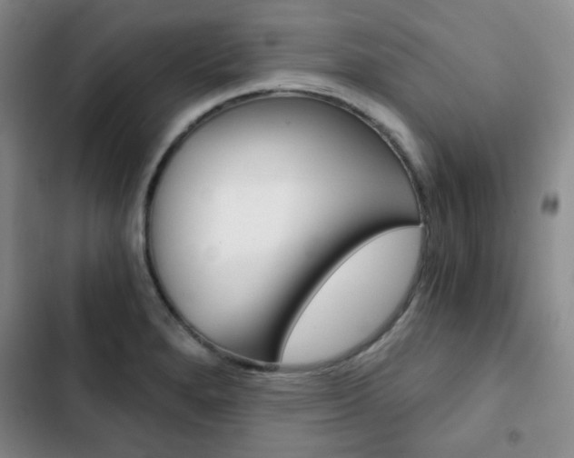 X0000102821280200808181016