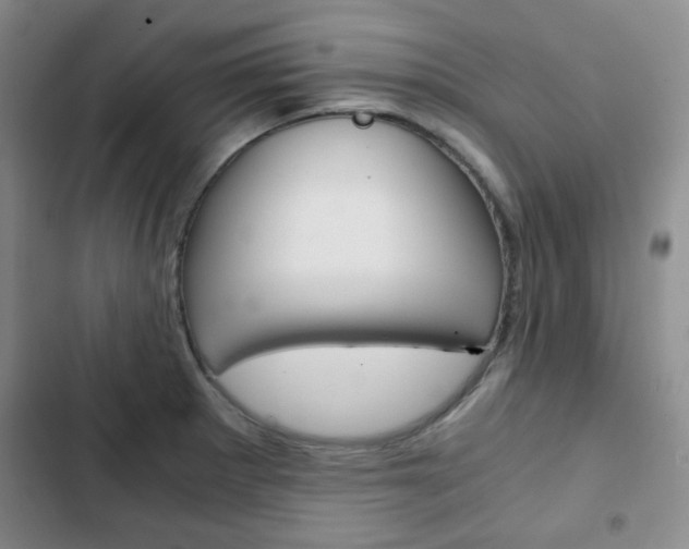 X0000102821281200808181016