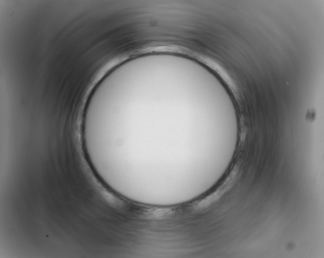 X0000102821282200808181016