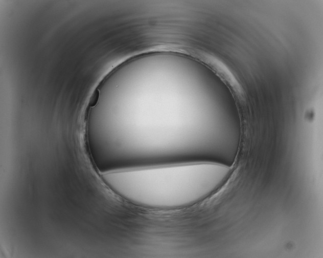 X0000102821284200808181016