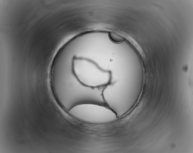X0000102821285200808181016