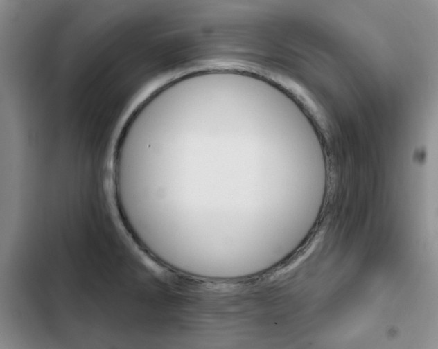X0000102821286200808181016