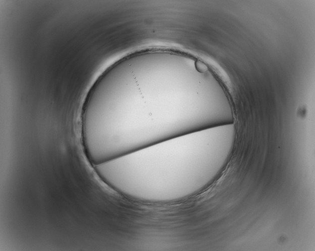 X0000102821287200808181016