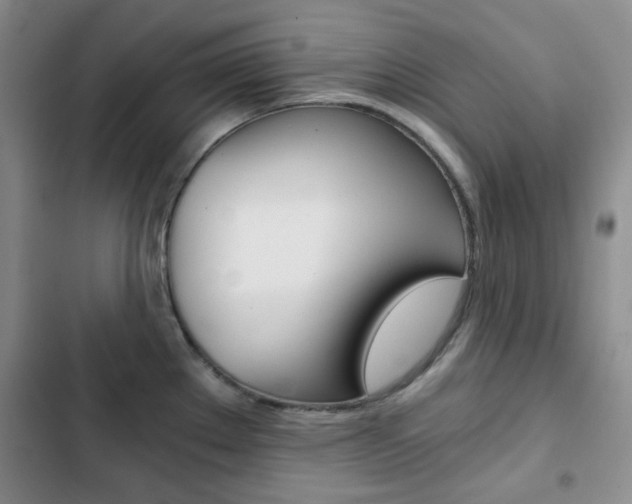 X0000102821289200808181016