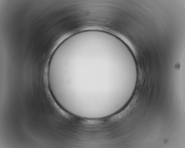 X0000102821290200808181016