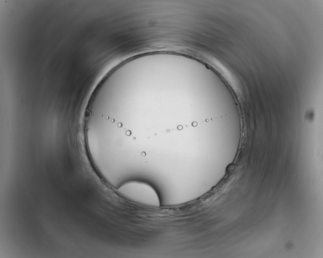 X0000102821291200808181016