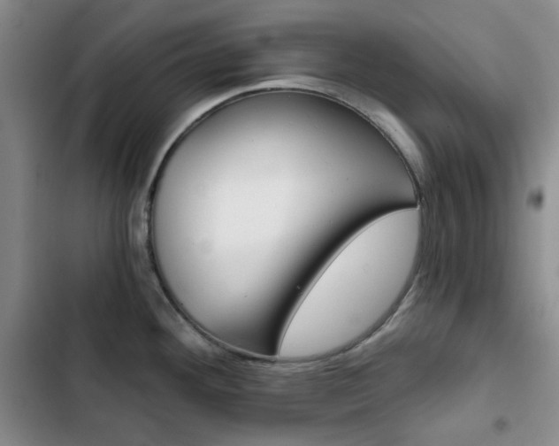 X0000102821292200808181016