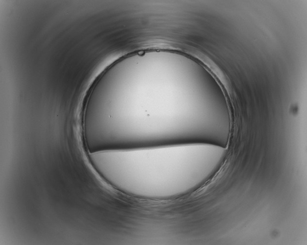 X0000102821293200808181016