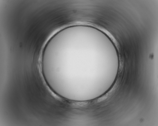 X0000102821294200808181016