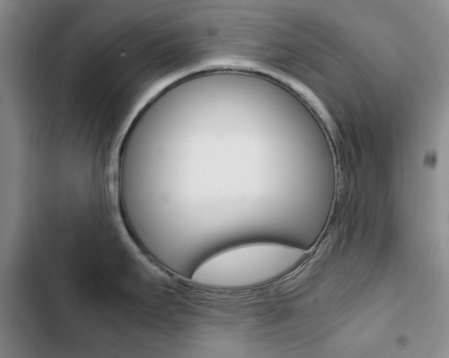 X0000102821295200808181016