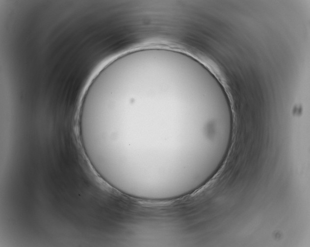 X0000102821296200808181016
