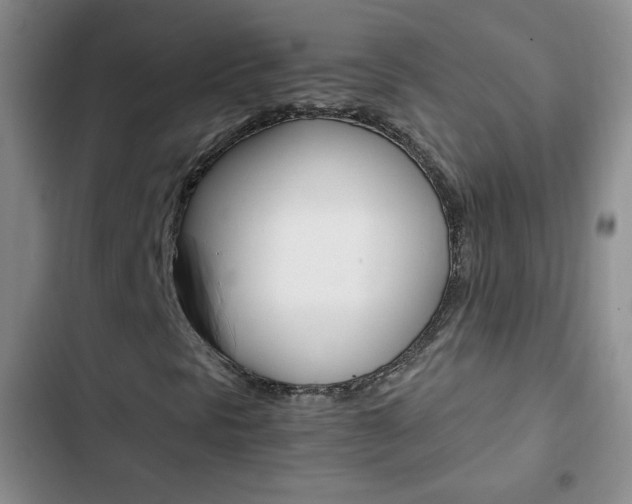 X0000102821297200808181015