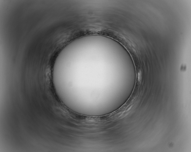 X0000102821299200808181015