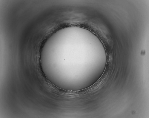 X0000102821300200808181015