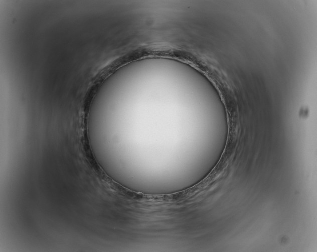 X0000102821301200808181015