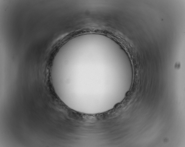 X0000102821302200808181015