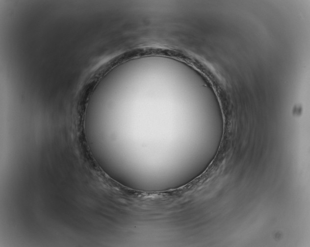 X0000102821303200808181015