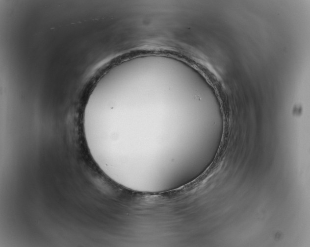 X0000102821304200808181015