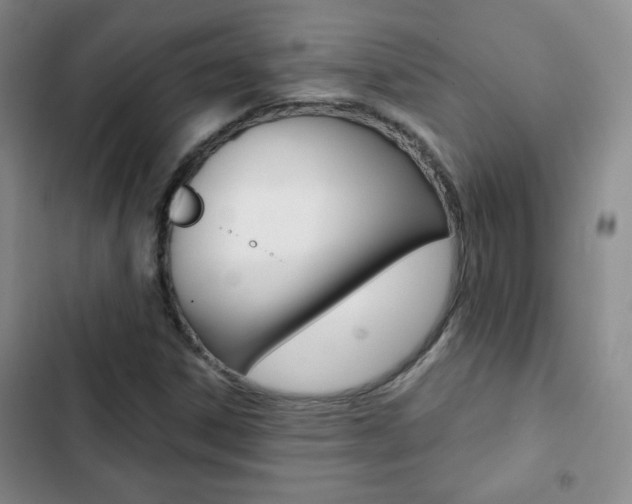 X0000102821306200808181015
