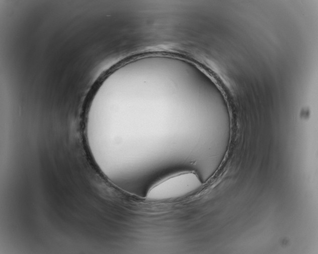 X0000102821308200808181015