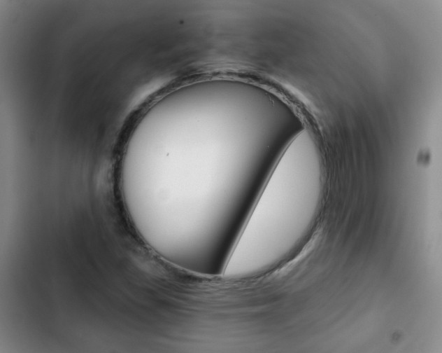 X0000102821309200808181015