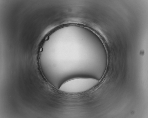 X0000102821312200808181015