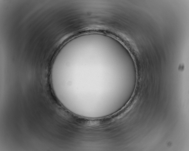 X0000102821313200808181015