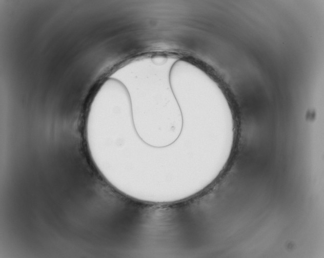 X0000102821314200808181015