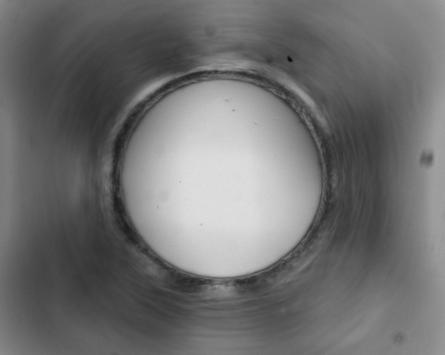 X0000102821315200808181015