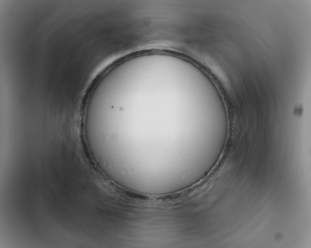 X0000102821316200808181015