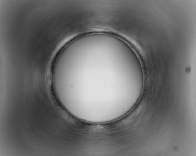 X0000102821317200808181015