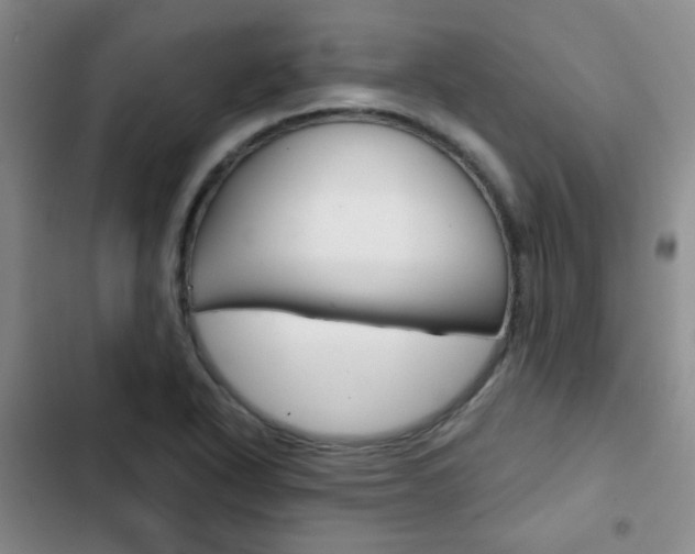 X0000102821318200808181015