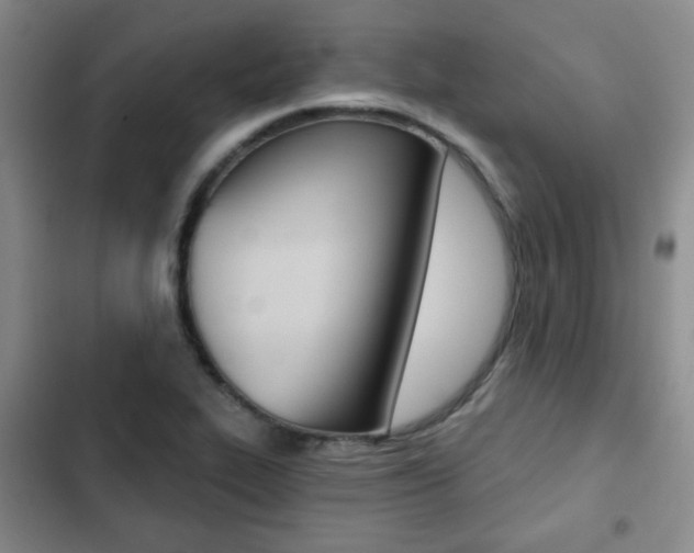 X0000102821319200808181015