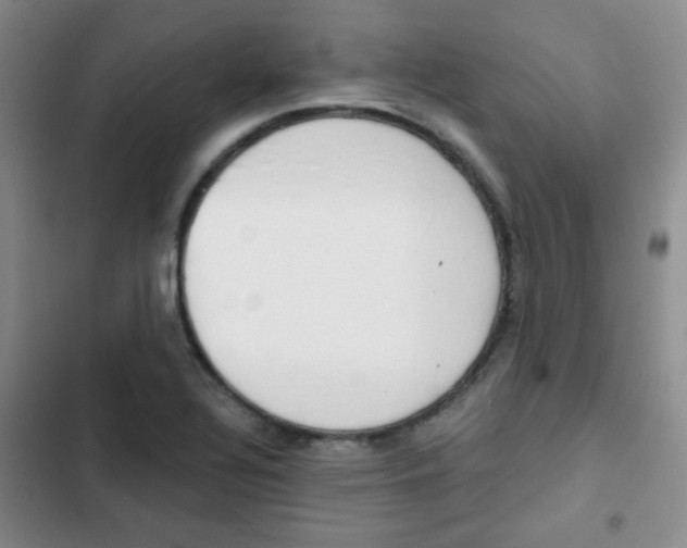 X0000102821320200808181015