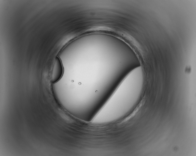 X0000102821321200808181015