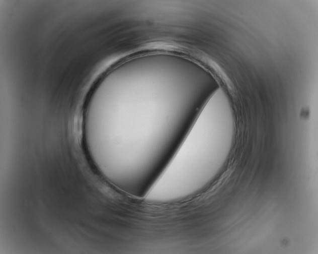 X0000102821323200808181015