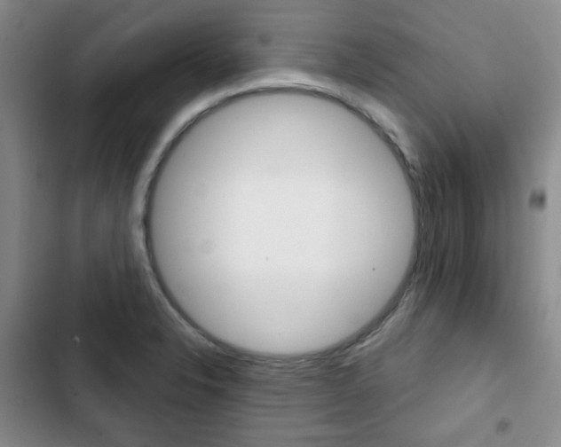 X0000102821326200808181015