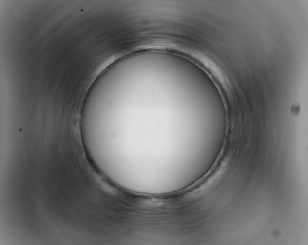 X0000102821329200808181015