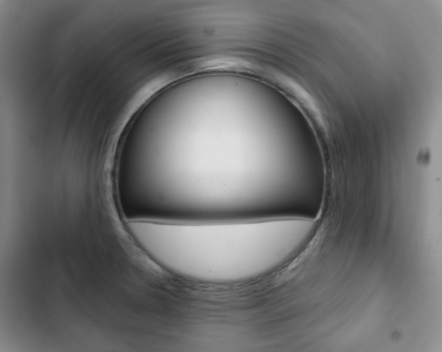 X0000102821330200808181015