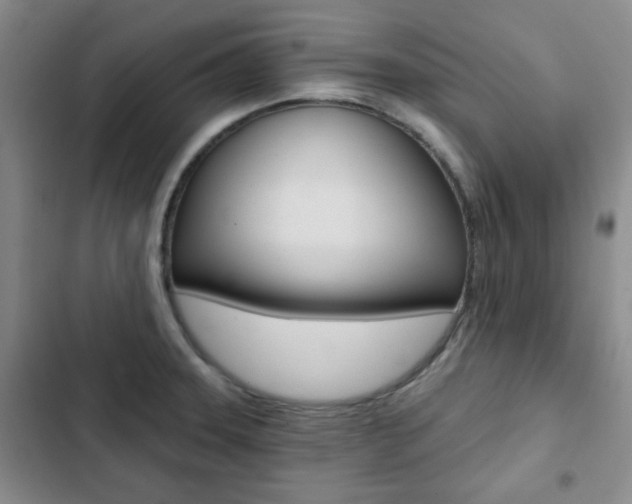 X0000102821331200808181015