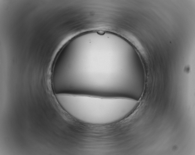X0000102821332200808181015