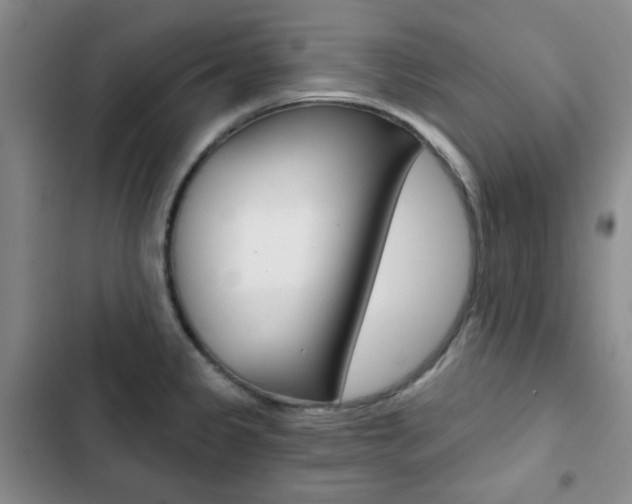 X0000102821333200808181015