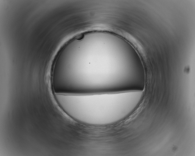 X0000102821334200808181015