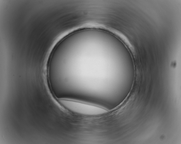 X0000102821335200808181016
