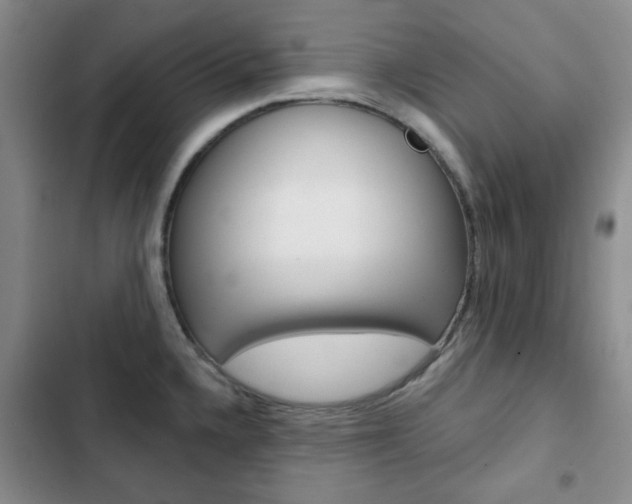 X0000102821336200808181016