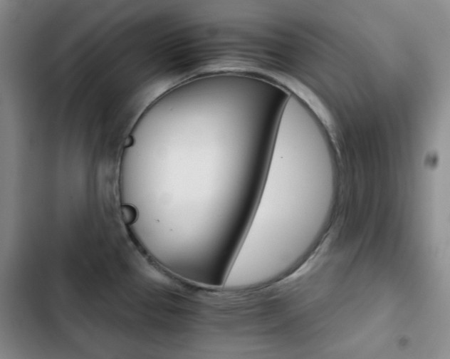X0000102821337200808181016