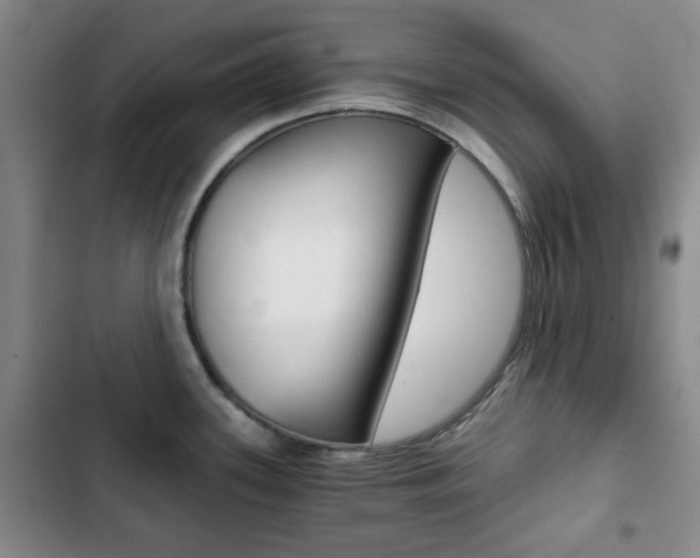 X0000102821339200808181016