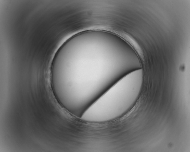 X0000102821340200808181016